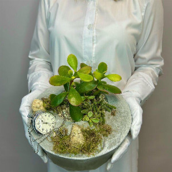 "Seconds for yourself" composition of succulents in concrete