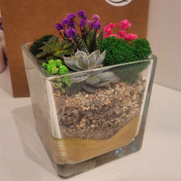 Cube Florarium