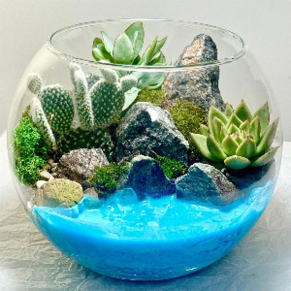 Florarium "Island of Succulents"