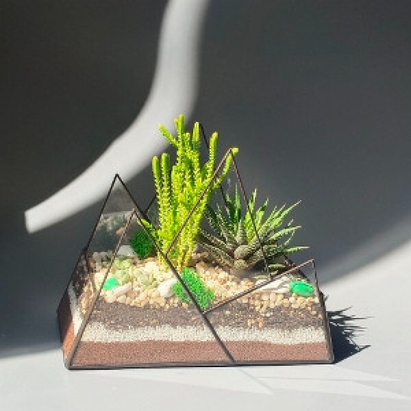 Mountain Ranges Terrarium
