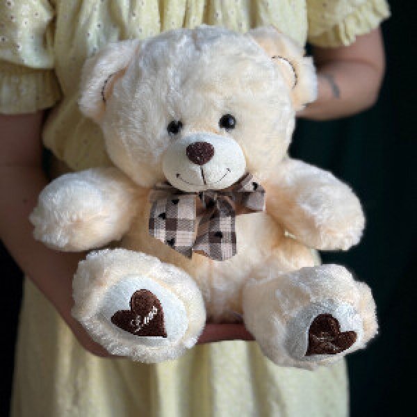 Toy "Cozy companion"