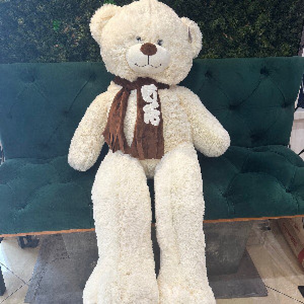 Philip the Bear in a Scarf Plush Toy