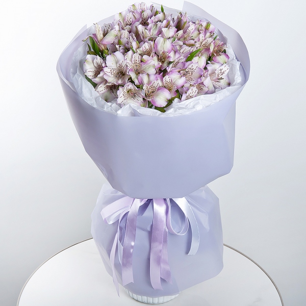 Alstromeria lilac, purple - 15, Wrapping Paper