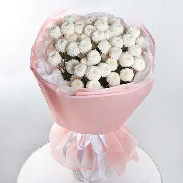 Newton White Spray Chrysanthemum - 11, Wrapping Paper