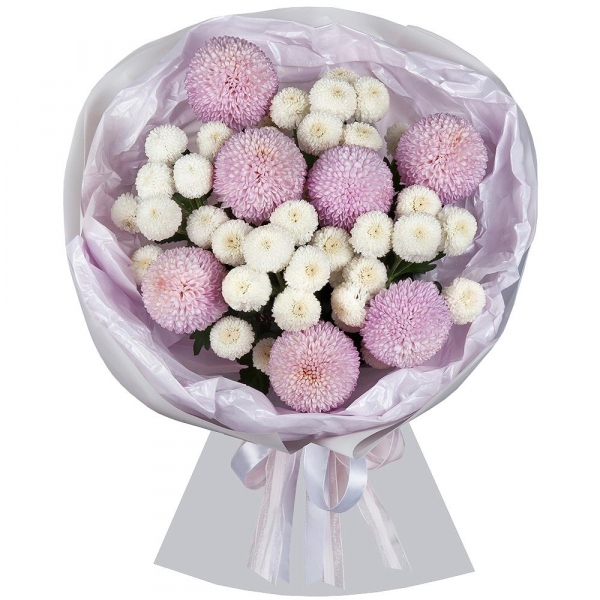 Momoko Chrysanthemum - 11, Newton White Spray Chrysanthemum - 6, Wrapping Paper