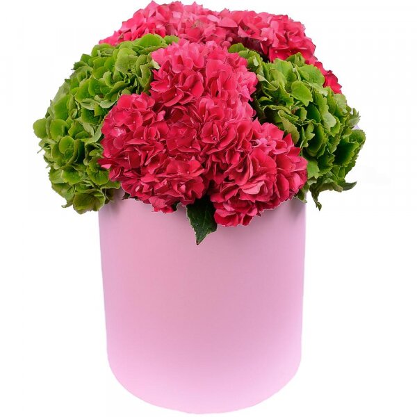 Pink Hydrangea - 3, Green Hydrangea - 2, Round flower box medium, Oasis, Film