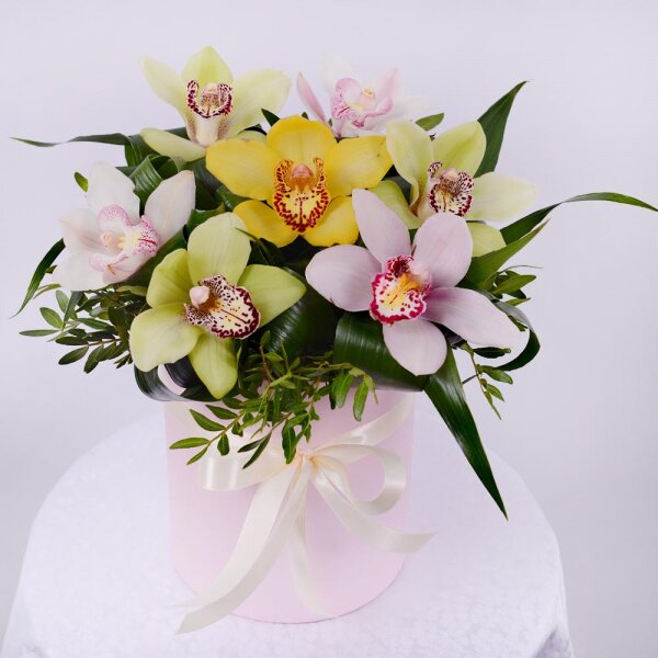 White Cymbidium Orchid Bud - 3, Orchid bud yellow/brown Cymbidium - 1, Green Cymbidium Orchid Bud - 3, Round flower box small , Oasis, Aspidistra (1 pc.), Pistachio, Ribbon, Flask for orchids