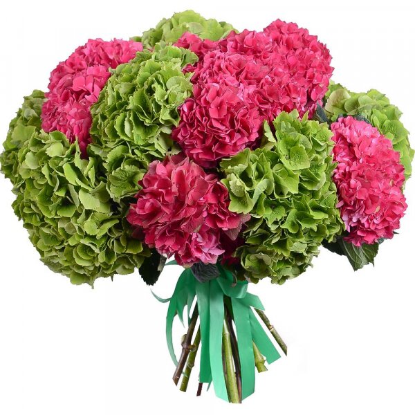 Pink Hydrangea - 11, Green Hydrangea - 10, Ribbon