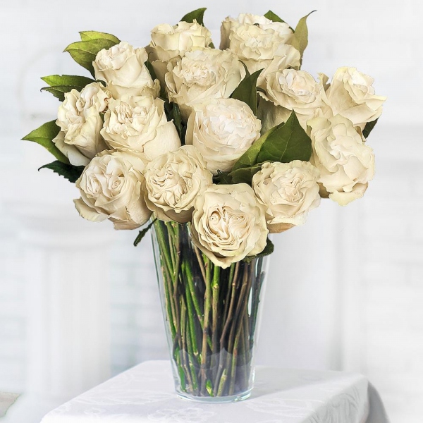 White rose 50 cm Ecuador - 21, Salal, Wrapping Paper