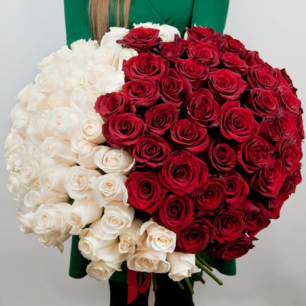 Red rose 50 cm - 65, White rose 50 cm - 66, Wrapping Paper