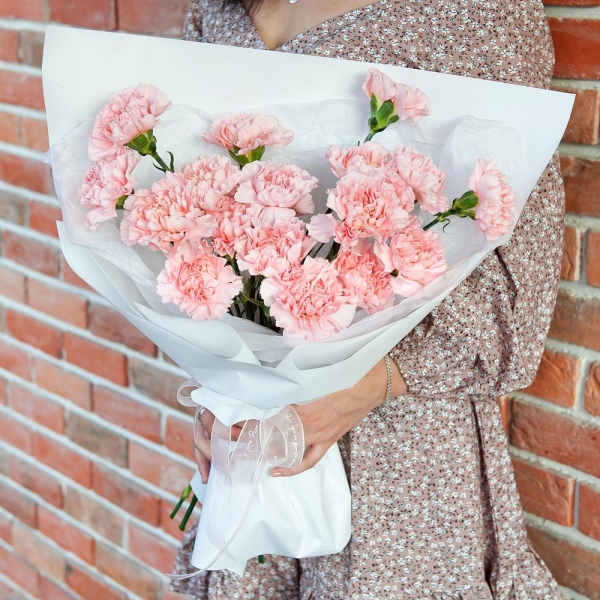 Pink carnation - 25, Wrapping Paper, Ribbon