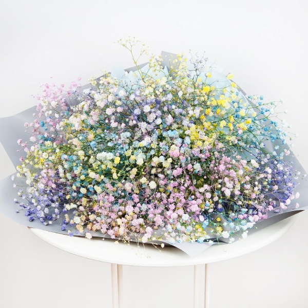 Colored gypsophila - 19, Wrapping Paper, Ribbon