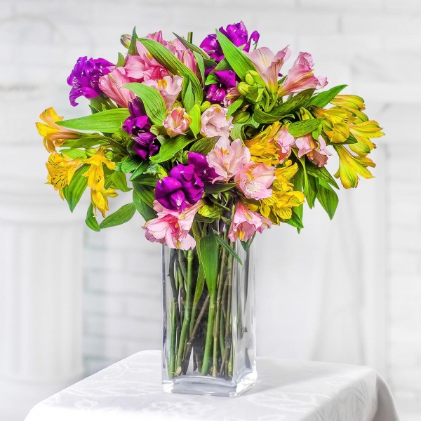 Alstroemerias - 16, Ribbon