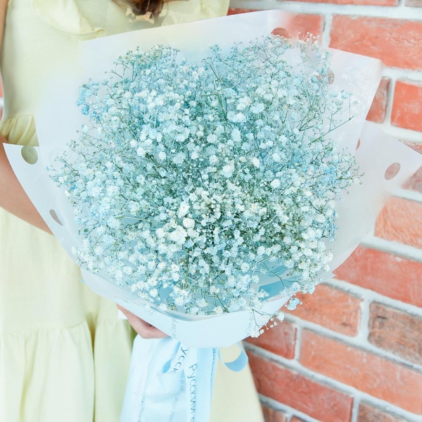 Colored gypsophila - 9, Wrapping Paper, Ribbon
