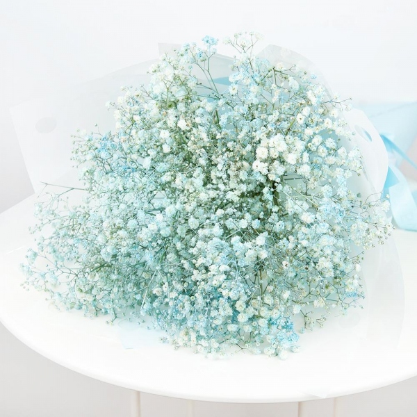 Colored gypsophila - 9, Wrapping Paper, Ribbon