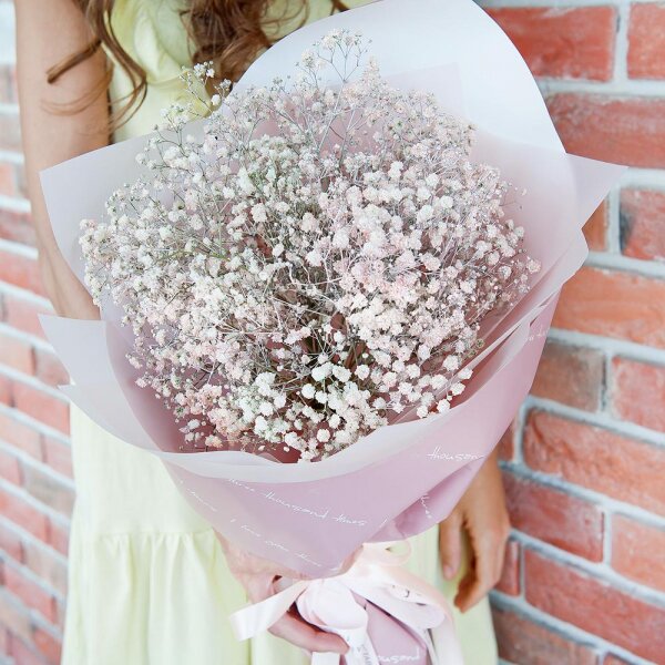 Colored gypsophila - 9, Wrapping Paper, Ribbon