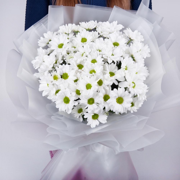 Bacardi White Spray Chrysanthemum - 11, Wrapping Paper, Ribbon