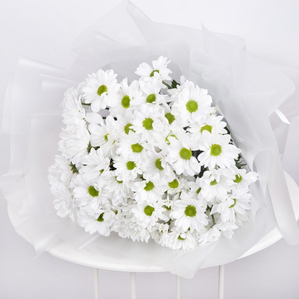 Bacardi White Spray Chrysanthemum - 11, Wrapping Paper, Ribbon