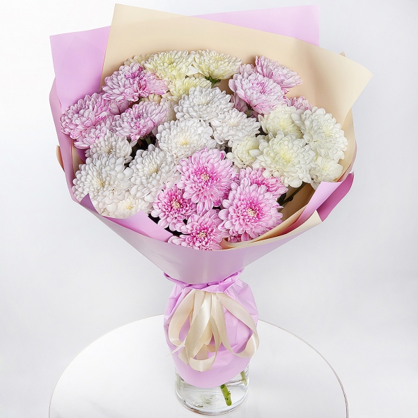 Baltica White Spray Chrysanthemum - 15, Wrapping Paper, Ribbon
