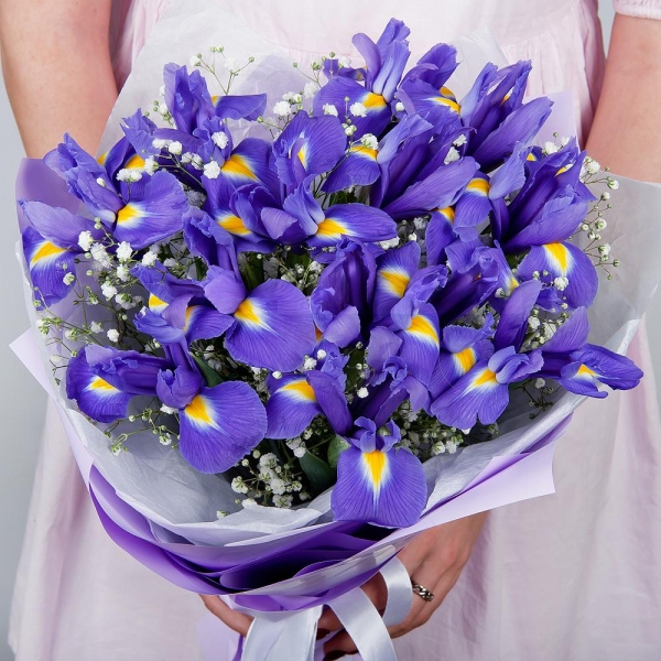 Irises - 21, Gypsophila - 2, Wrapping Paper