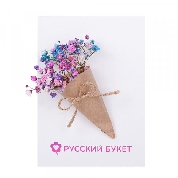 Colored gypsophila - 0.1, Greeting Card