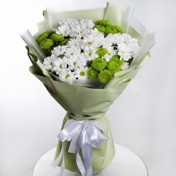 Bacardi White Spray Chrysanthemum - 5, Athos pom Feeling Green - 4, Wrapping Paper