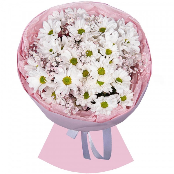 Baltica White Spray Chrysanthemum - 5, Gypsophila - 3, Wrapping Paper
